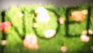 VanessaNoel_thumb